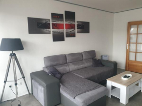 Mulhouse,Grand appart cosy&lumineux, 78m2 , pour 6 personnes